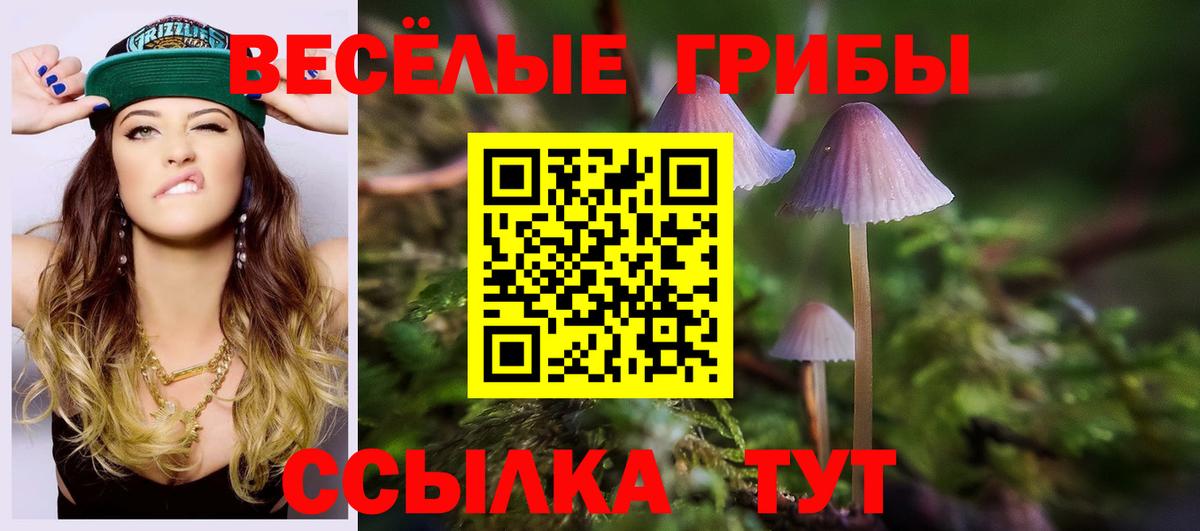 Галлюциногенные грибы GOLDEN TEACHER  Галлюциногенные грибы Cubensis  Дагестанские Огни  цены   Вход с VPN 